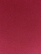 Casablanca 38 Rose Red Europatex